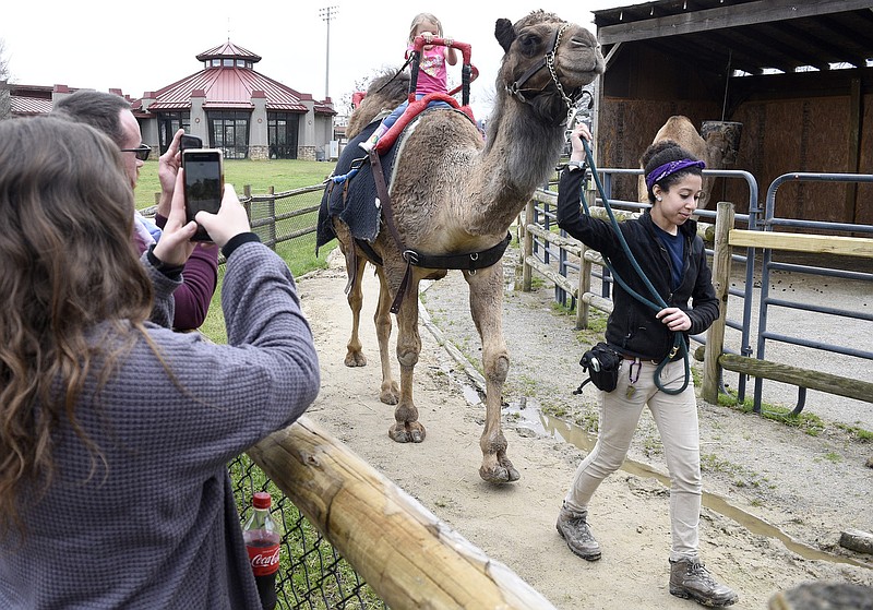 Staff Photo by Robin Rudd / Justice Exum, left, photographs her daughter, Kennedy Eubanks, as she rides Bradley the camel.  Zoo employee Xa Burton handles Bradley's reins.  The Chattanooga Zoo was one of the few attractions open, following the coronavirus warnings, on March 14, 2020.  