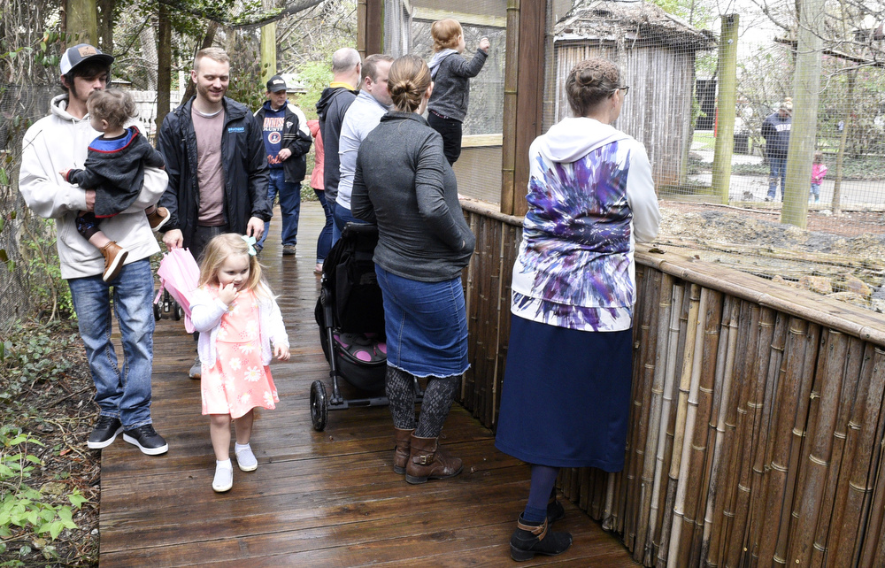 Staff Photo by Robin Rudd / Chattanooga Zoo visitors enjoy a break in the drizzle on Saturday.  The Chattanooga Zoo was one of the few attractions open, following the coronavirus warnings, on March 14, 2020.