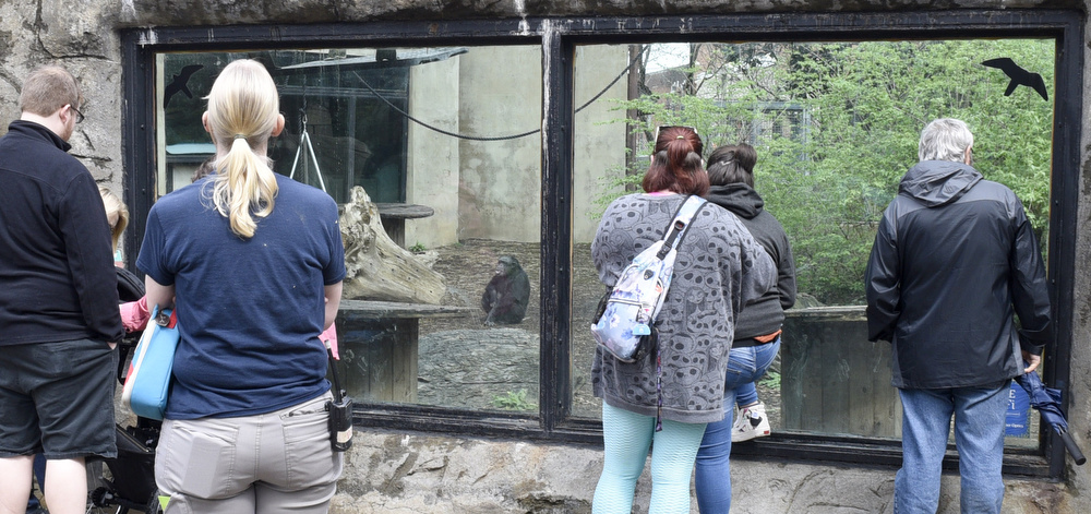 Staff Photo by Robin Rudd / Chattanooga Zoo visitors enjoy a break in the drizzle on Saturday.  The Chattanooga Zoo was one of the few attractions open, following the coronavirus warnings, on March 14, 2020.
