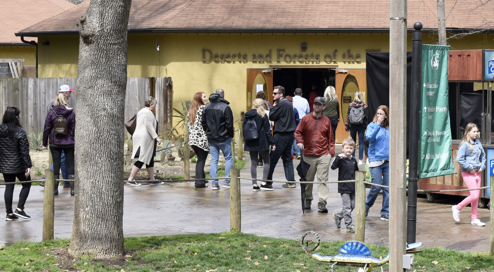 Staff Photo by Robin Rudd / Chattanooga Zoo visitors enjoy a break in the drizzle on Saturday.  The Chattanooga Zoo was one of the few attractions open, following the coronavirus warnings, on March 14, 2020.