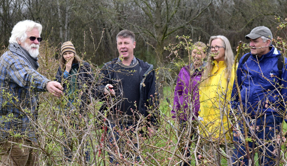 Staff Photo by Robin Rudd / Landscape architect Matt Whitaker, third from left, discusses some of the difficulties of growing blueberries.  Whitaker led a "Pruning Intensive Workshop" at Crabtree Farms on March 14, 2020.