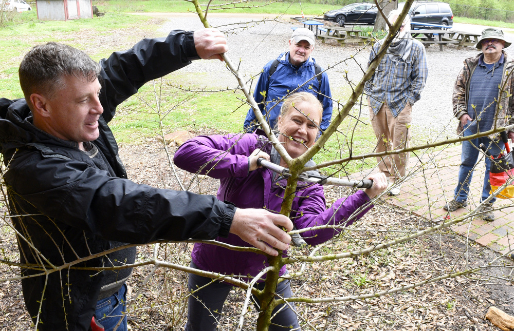 Staff Photo by Robin Rudd / Landscape architect Matt Whitaker steadies a tree as Tara Geiger tries her hand at pruning it.  Whitaker led a "Pruning Intensive Workshop" at Crabtree Farms on March 14, 2020.