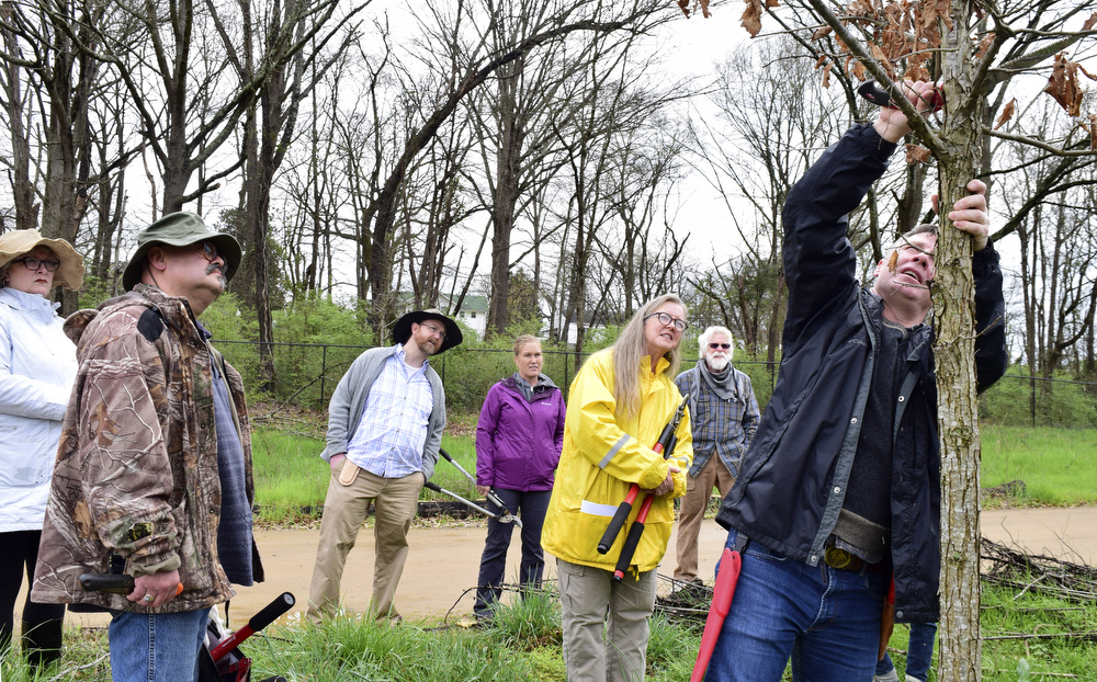 Staff Photo by Robin Rudd / Landscape architect Matt Whitaker prunes a oak tree during the workshop.  Whitaker led a "Pruning Intensive Workshop" at Crabtree Farms on March 14, 2020.