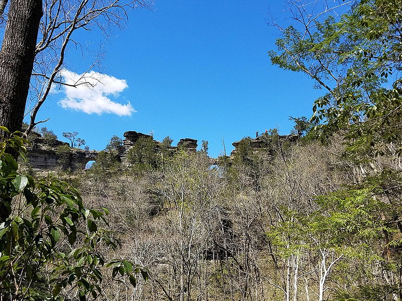 File Photo Contributed by Tennessee Department of Environment and Conservation / The rugged terrain of Window Cliffs State Natural Area.