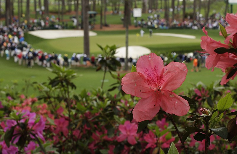 AP photo by Charlie Riedel / Azaleas bloom overlooking the 16th green at Augusta National during a practice round for the Masters in April 2014. With the 2020 Masters postponed from next month, possibly to the fall, the course is likely to look a lot different when what is usually golf's first major championship of the year is finally held.