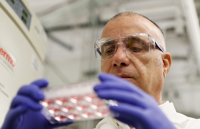 Farshad Guirakhoo, Chief Scientific Officer at Smyrna-based GeoVax, checks on one of the vaccine candidates for COVID - 19 that his lab is working on in Smyrna, Ga. on March 17, 2020. The vaccines, while not harmful, contain snippets of COVID - 19 virus DNA. At least a half-dozen efforts are underway in Georgia to research, develop treatments and vaccines for COVID - 19 which currently does not have an FDA approved treatment or vaccine. (Bob Andres/Atlanta Journal-Constitution via AP)


