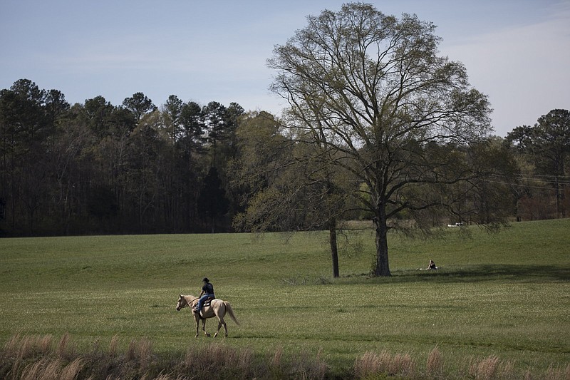 Chickamauga National Military Park, as seen on Thursday, March 26, 2020 in Chickamauga, Georgia. / Staff photo by Troy Stolt 