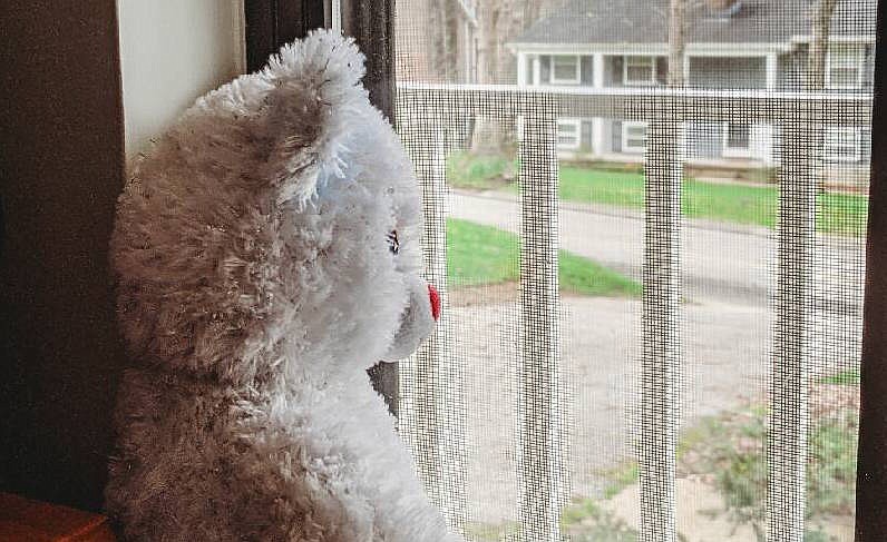 Contributed photo by Jessica Pope / A stuffed bear sits behind a window in Jessica Pope's home in Signal Mountain's Skyline Park neighborhood. People around Chattanooga and across the nation are participating in neighborhood "bear hunts" by putting bears in their windows for children to count as they walk through the neighborhood.