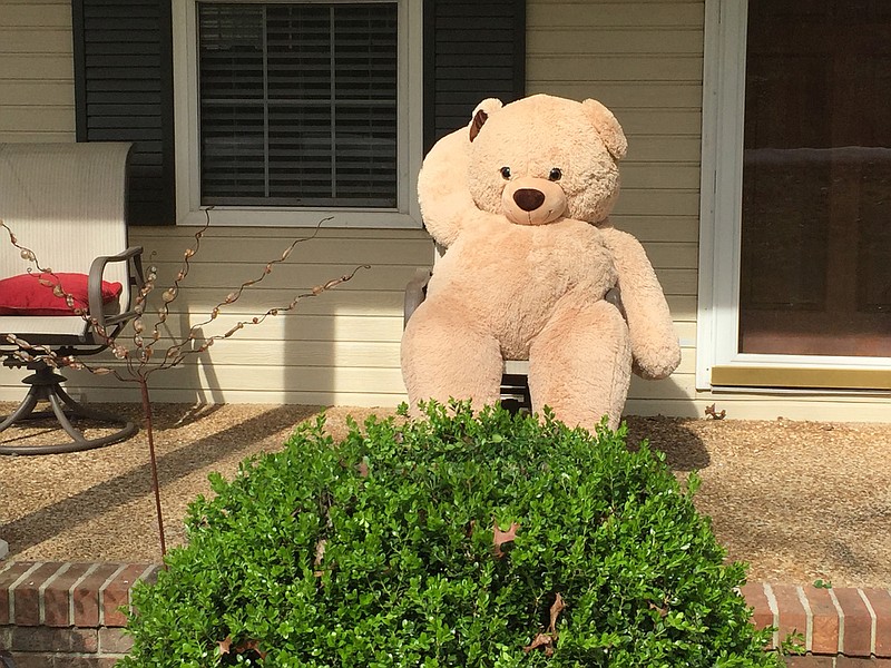 Staff Photo by Mark Kennedy / Gary the bear makes an appearance for kids playing the ҂ear HuntӠgame on Waldenճ Ridge. 