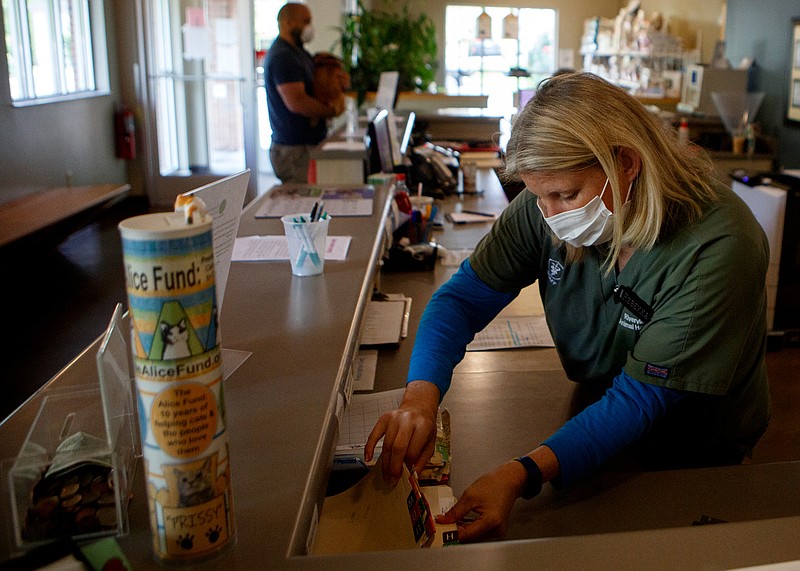 Staff photo by C.B. Schmelter / Receptionist Rebekka Gayton looks for paperwork at Riverview Animal Hospital on Thursday, April 9, 2020 in Chattanooga, Tenn. With a 25% drop in business due to the COVID-19 pandemic, Dr. Tai Federico, owner of Riverivew Animal Hospital, has applied for a federal paycheck protection loan to help keep his full staff employed.