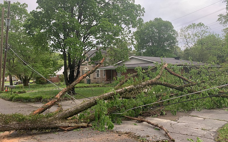 Staff photo by Allison Collins / A tree came down on a power line in the East Brainerd area where digital and engagement editor Allison Collins lives with her husband and two dogs. EPB estimates power will be restored in seven days.