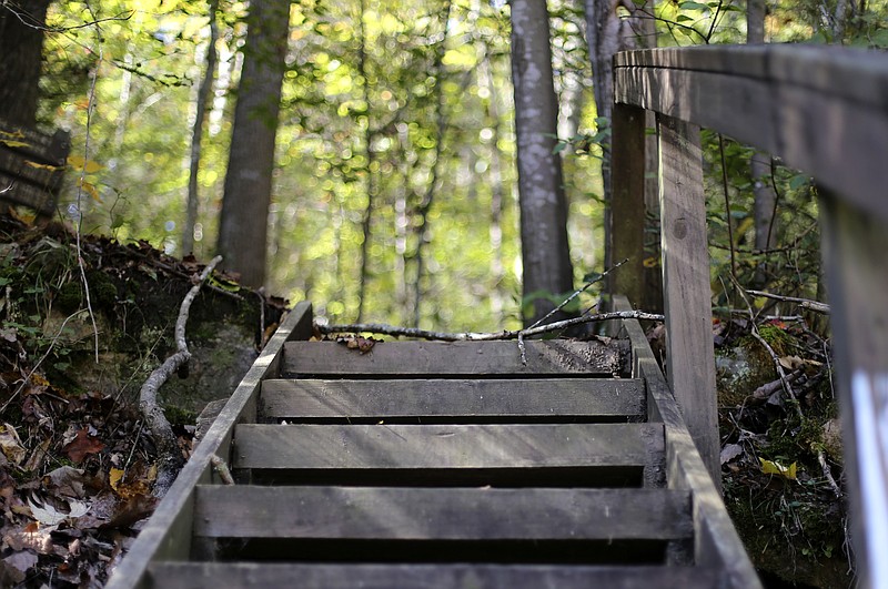 Staff photo by C.B. Schmelter / The Highway 27 staircase leads up to the Cumberland Trail State Park in the Tennessee River Gorge Segment on Monday, Oct. 30, 2017, in Marion County, Tenn.