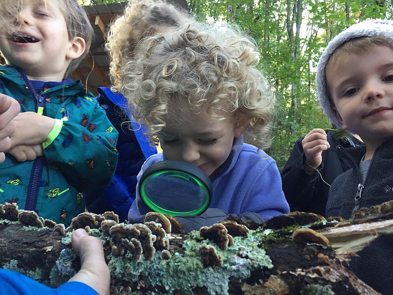 Students of Wauhatchie School examine fungi growing on a downed tree./ Photo contributed by Stephanie Lomino