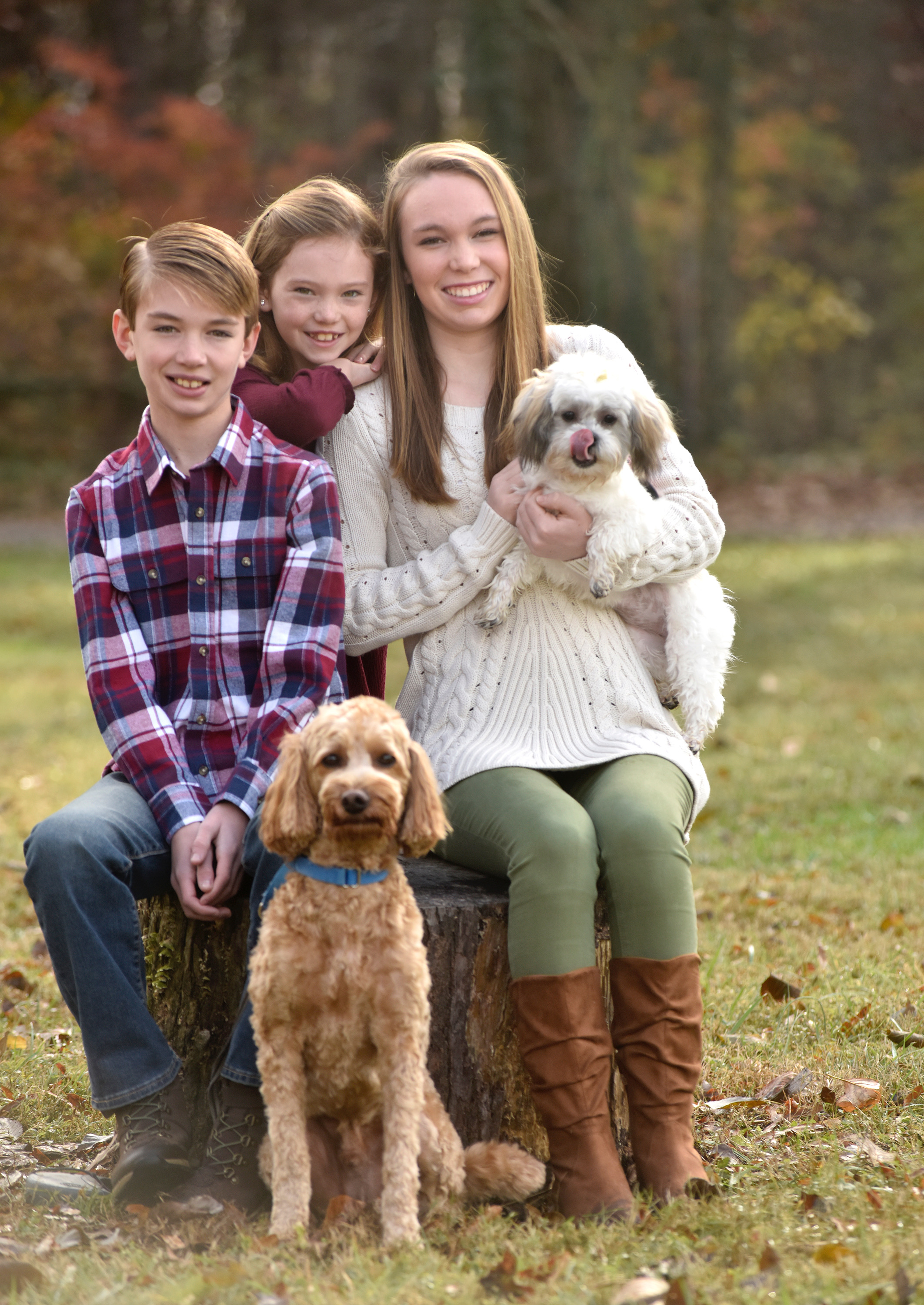 Contributed Photo by Kathleen Greeson / The Haddock children, from left, Eli, 13, Gracie, 9, and Charlotte Ann, 14, with their dogs, Max and Mazie.