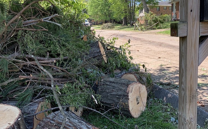 Storm debris piled curbside in Morris Estates, Catoosa County / Photo contributed by Georgia EPD Mountain District office