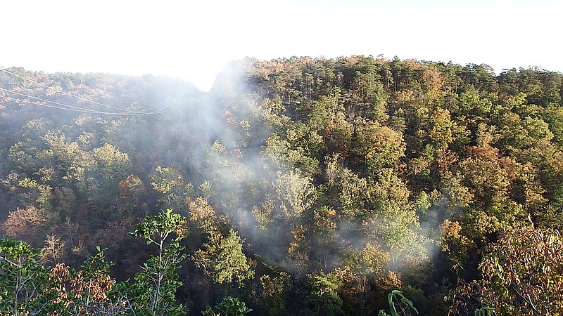 Photo courtesy of the National Park Service / Rangers from the Little River Canyon National Preserve were involved in the chase.