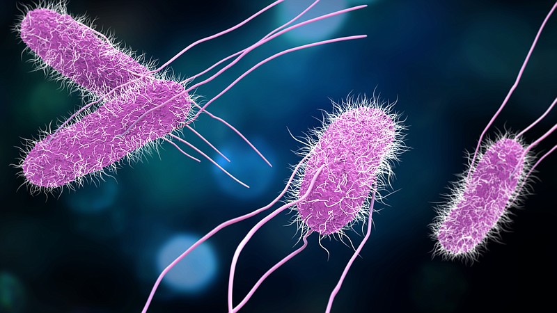 3D illustration of Salmonella Bacteria. Medicine concept. salmonella tile / Getty Images
