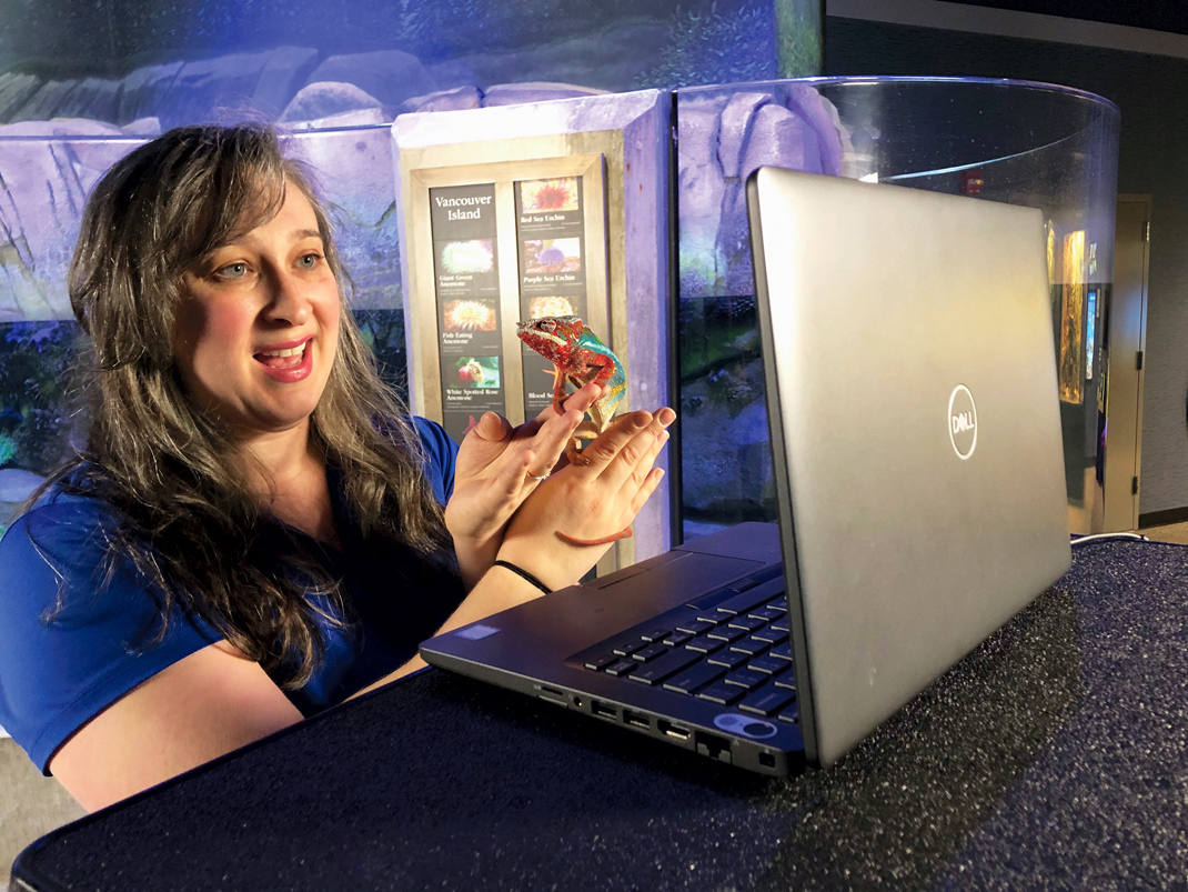 Contributed photo / Sara Web, Tennessee Aquarium's program & enrichment coordinator