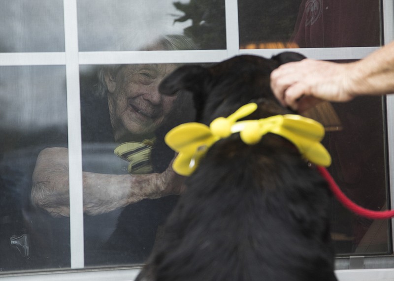 Staff photo by Troy Stolt / A resident of Brookdale Assisted living waves to Bear, a 10-year-old black lab mix during a Dog Parade put on by the Chattanooga HES for residents of Brookdale Assisted Living on Wednesday, May 27, 2020 in Hixson, Tenn.