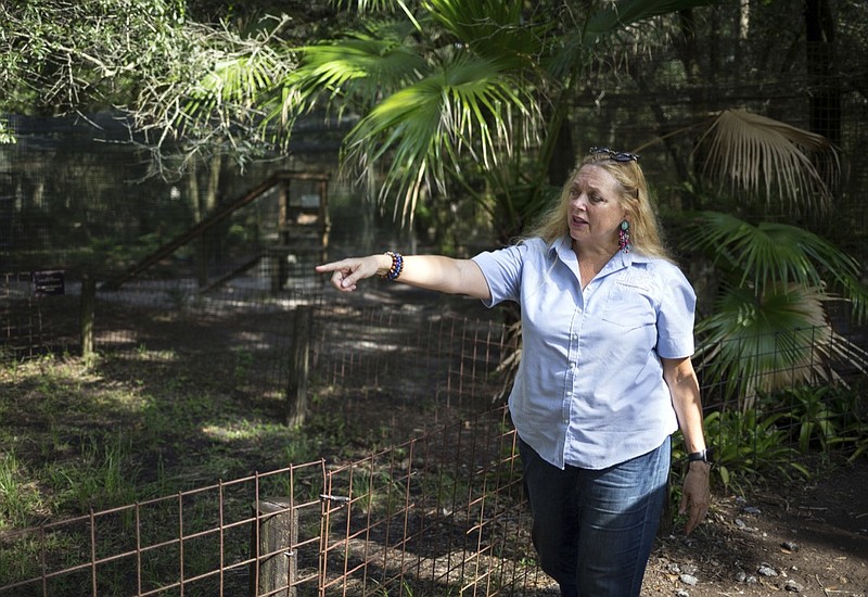 FILE - In this July 20, 2017, file photo, Carole Baskin, founder of Big Cat Rescue, walks the property near Tampa, Fla. A federal judge in Oklahoma has awarded ownership of the zoo made famous in Netflix's "Tiger King" docuseries to Joe Exotic's rival, Carole Baskin. In a ruling Monday, June 1, 2020, U.S. District Judge Scott Palk granted control of the Oklahoma zoo that was previously run by Joseph Maldonado-Passage — also known as Joe Exotic — to Big Cat Rescue Corp. (Loren Elliott/Tampa Bay Times via AP, File)