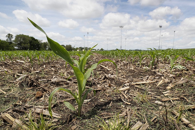 LEADING OFF: 'Field of Dreams' game grows in Iowa cornfield