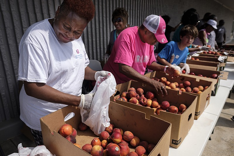 Alice Williams, left, and JoAnn Cooper fill bags with fruit at a produce giveaway at Mount Canaan Baptist Church on State Highway 58 on Saturday, June 25, 2016, in Chattanooga, Tenn. The church has partnered with the Chattanooga Area Food Bank to give away free produce on the fourth Saturday of every month.