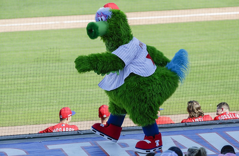 AP photo by Yong Kim / The Phillie Phanatic walks on the Philadelphia Phillies' dugout as they play the Pittsburgh Pirates in a spring training exhibition game on Feb. 23 in Clearwater, Fla.