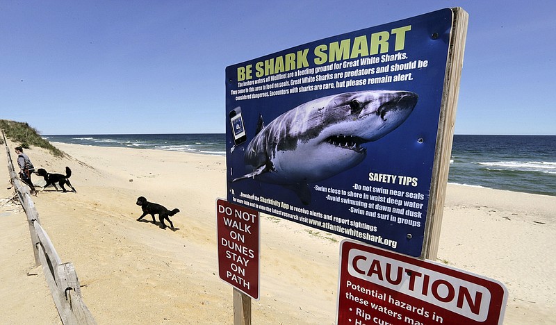 FILE - In this May, 22, 2019, file photo, a woman walks with her dogs at Newcomb Hollow Beach in Wellfleet, Mass., where a boogie boarder was bitten by a shark in 2018 and later died of his injuries. Cape Cod's beaches and towns may be quieter because of the 2020 coronavirus pandemic, but officials are reminding visitors ahead of the July 4 holiday that the famous destination also remains a popular getaway for great white sharks. (AP Photo/Charles Krupa, File)


