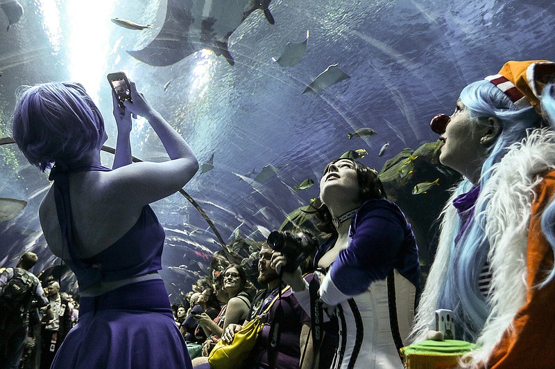FILE - In this Saturday, Sept. 5, 2015, photo, three women in costumes look at sea life swimming above them during a private party held at the Georgia Aquarium as part of Dragon Con in Atlanta. Officials announced Monday, July 6, 2020 that Dragon Con will be canceled for 2020 in response to the coronavirus pandemic. Dragon Con was originally set to take place over Labor Day weekend. It will instead be moved online for a virtual event. (AP Photo/Ron Harris, File)


