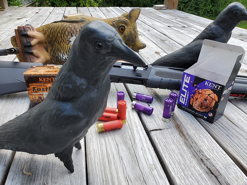 Case: Crows are smart varmints who make good target practice | Chattanooga  Times Free Press