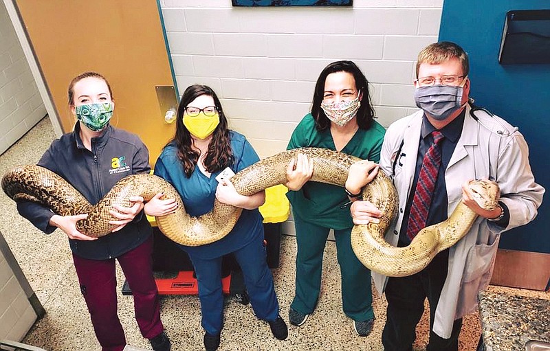 Contributed photography / Megan Ferrell, Courtney Burchett, Vanessa Scott, and Dr. Tony Ashley with Jean the snake at Animal Clinic Downtown.