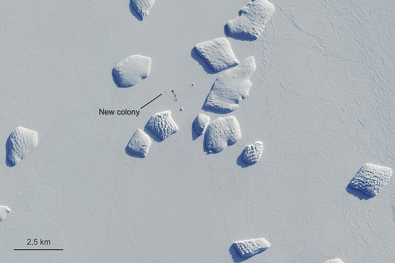 Markings points to a patch of penguin guano on an image captured by the Copernicus Sentinel-2 satellite mission Aug. 26, 2019. British scientists say they've confirmed that there are more emperor penguin colonies in Antarctica than previously thought. Researchers at the British Antarctic Survey used satellite images to spot tell-tale evidence of bird droppings. (Copernicus Sentinel-2/ESA via AP)


