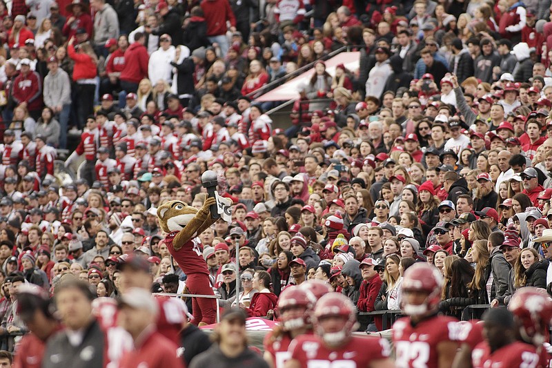 AP photo by Young Kwak / A packed crowd looks on as Washington State mascot Butch T. Cougar performs during a Pac-12 football game against Stanford on Nov. 16, 2019, in Pullman, Wash.