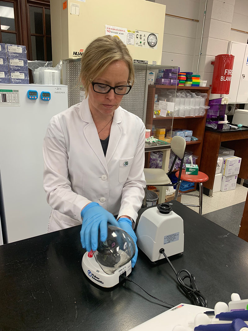 Baylor on-location COVID-19 testing. / Contributed Photo