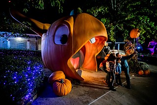 Eight fall festivals are coming to the Chattanooga region this weekend ...