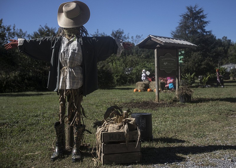 Staff photo by Troy Stolt / Scarecrows are seen at Crabtree Farms on Wednesday, Sept. 30, 2020 in Chattanooga, Tenn.  The scarecrows are a part of Crabtree's new event, "Scarecrows at the Farm" that will feature scarecrows submitted by Hamilton County residents from Oct. 3-31, anyone who visits the farm will have the chance to vote for their favorite scarecrow. 