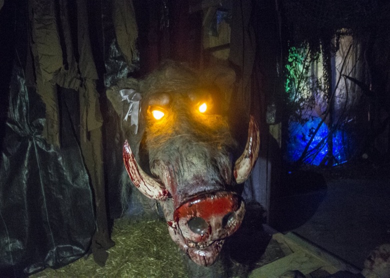 Staff photo by Troy Stolt / Dread Hollow is seen on Thursday, Oct. 1, 2020 in Chattanooga, Tenn.