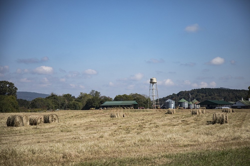 McDonald Farm in Sale Creek, Tenn. Chattanooga Times Free Press