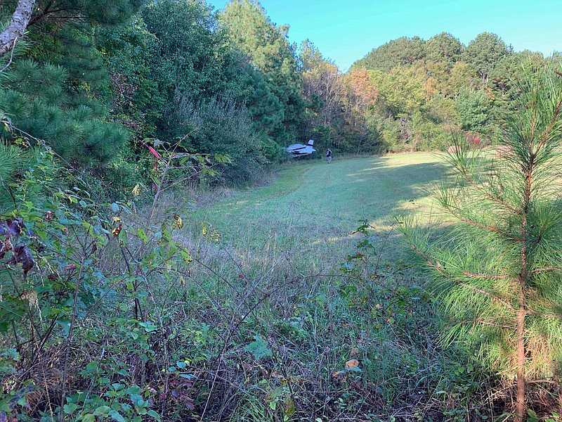 A small airplane landed in a field and crashed into a wooded area not far from the Collegedale airport Monday evening. / Photo contributed by Chris Hernandez