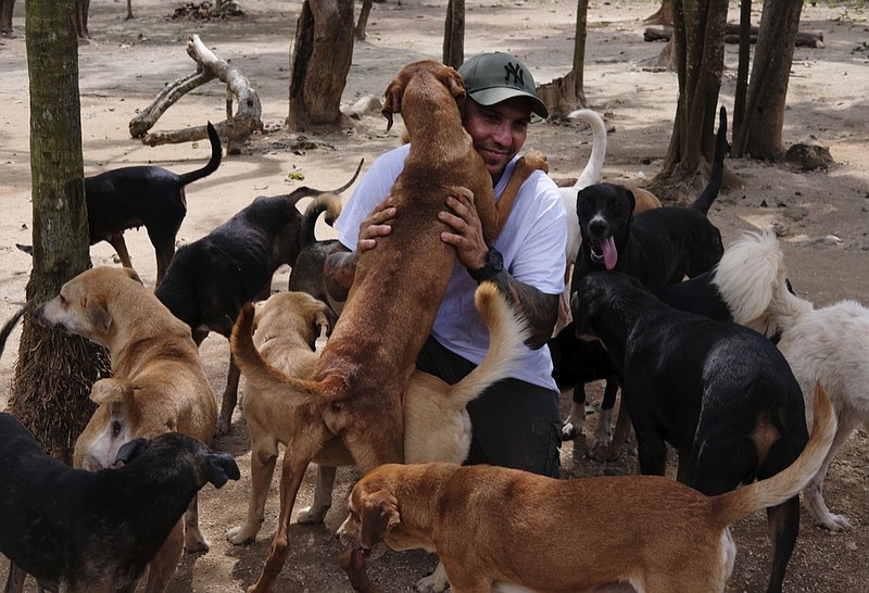 In this Oct. 13, 2020, photo, Ricardo Pimentel is greeted by dogs that he rescued at his Tierra de Animales (Land of Animals) shelter in Leona Vicario, Mexico. Pimentel sheltered about 300 dogs at his home during Hurricane Delta, and his story, which has gone viral, led people across the world to donate to the shelter. (AP Photo/Luis Andres Henao)