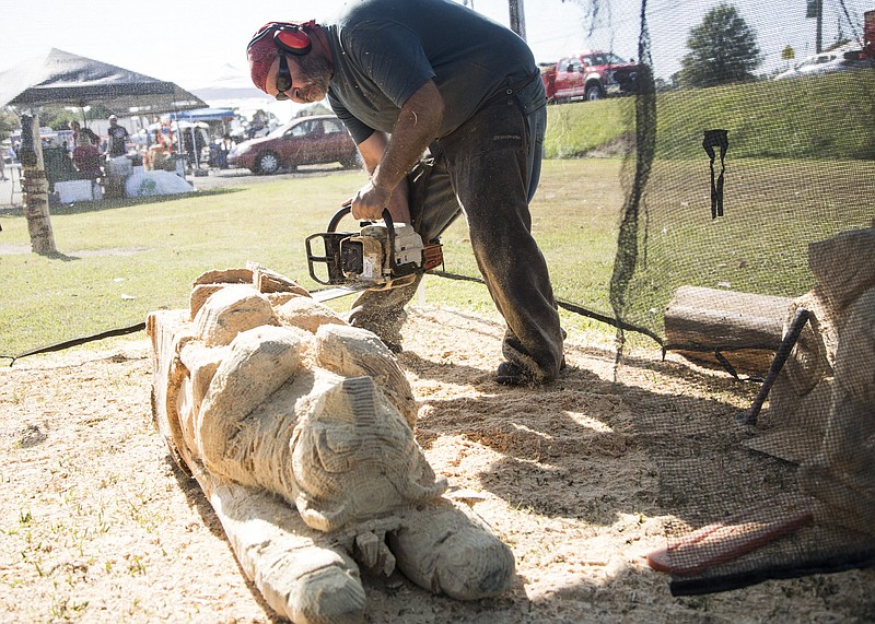 Photo of the Day Chattanooga Times Free Press