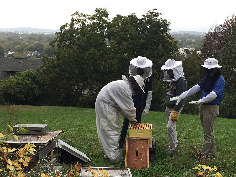 Members of the bee-keepers club at the McCallie School check their on-campus hive on Oct. 27, 2020. Photo by Mark Kennedy.