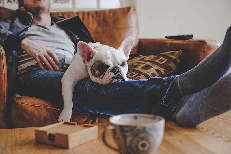 Man spending a lazy afternoon napping with his dog, a French Bulldog. / Photo credit: Getty Images/iStockphoto/gollykim