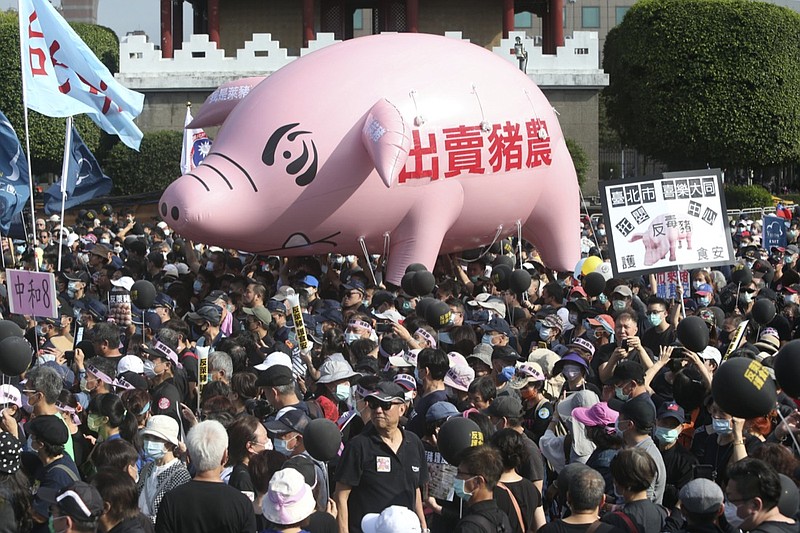 People hold a pig model with a slogan "Betraying pig farmers" during a protest in Taipei, Taiwan, Sunday, Nov. 22. 2020. Thousands of people marched in streets on Sunday demanding the reversal of a decision to allow U.S. pork imports into Taiwan, alleging food safety issues. (AP Photo/Chiang Ying-ying)