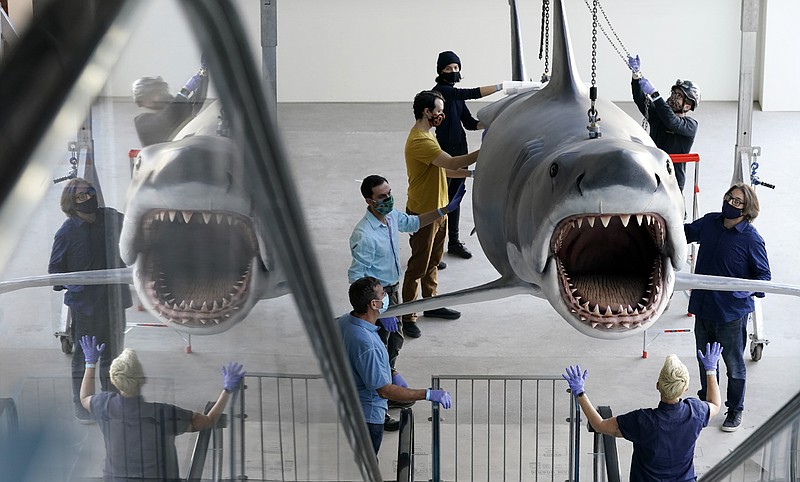 A fiberglass replica of Bruce, the shark featured in Steven Spielberg's classic 1975 film "Jaws," is raised to a suspended position for display at the new Academy of Museum of Motion Pictures, Friday, Nov. 20, 2020, in Los Angeles. The museum celebrating the art and science of movies is scheduled to open on April 30, 2021. (AP Photo/Chris Pizzello)