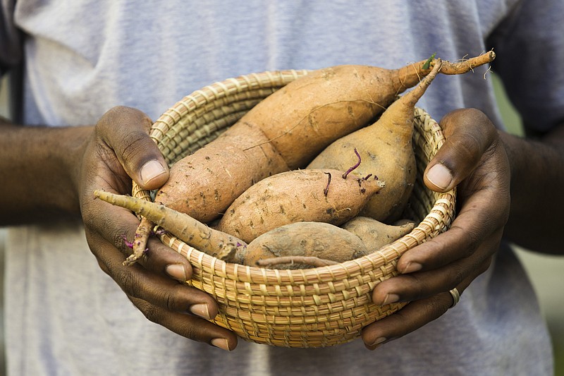 Instead of a casserole, try baking sweet potatoes if your Thanksgiving crowd is small. You can still top them with sweet fillings and mini marshmallows for a taste of the traditional. With a little ingenuity, a complete Thanksgiving dinner can be made using just one pot and one pan. / Photo by Edmund D. Fountain/The New York Times