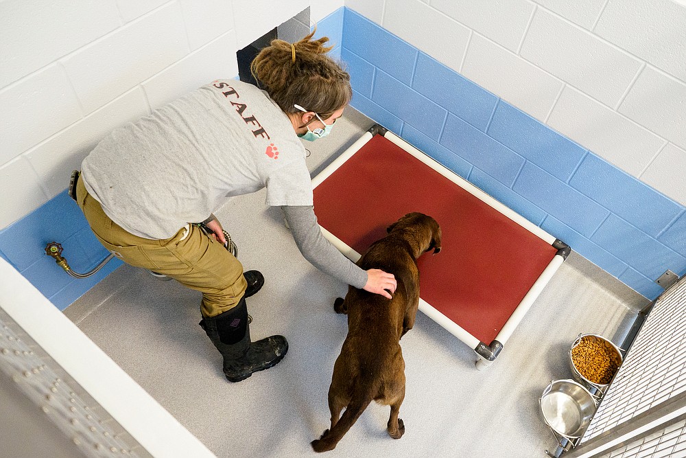 Humane Educational Society's new facility Chattanooga Times Free Press