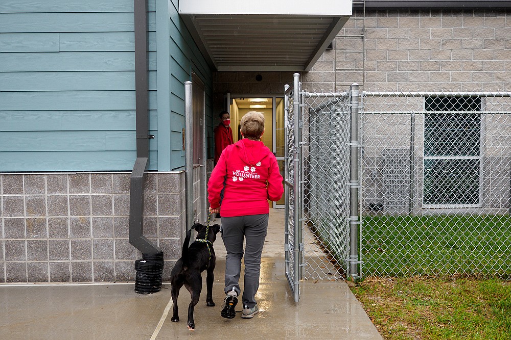 Humane Educational Society's new facility Chattanooga Times Free Press