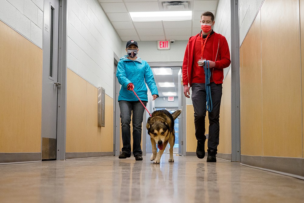 Humane Educational Society's new facility Chattanooga Times Free Press