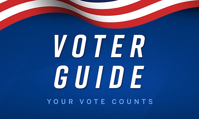 Voter Guide vertical tile / Thumbnail only 